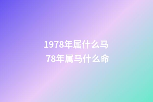 1978年属什么马 78年属马什么命-第1张-观点-玄机派